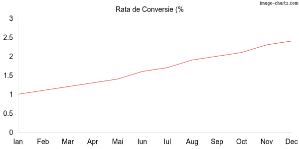 Grafic Rata Conversie ChicChic.ro